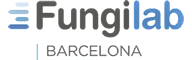 image-139519-logo_lca.gif?1424437698356